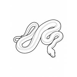 Disegno Serpente attorcigliato in curve morbide da colorare