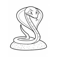 Disegno Serpente cobra con cappuccio aperto da colorare