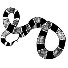 Disegno Serpente dal corpo a strisce che forma anelli da colorare