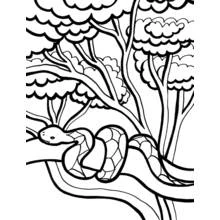 Disegno Serpente avvolto su un ramo d'albero da colorare