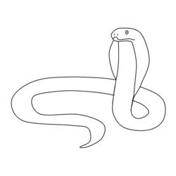 Disegno Serpente cobra attorcigliato con la testa alzata da colorare