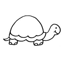 Tartaruga - Disegni da colorare gratuiti