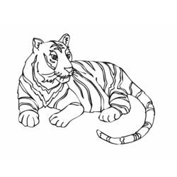 Tigre - Disegni da colorare gratuiti