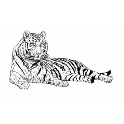 Disegno Tigre sdraiata a riposo da colorare