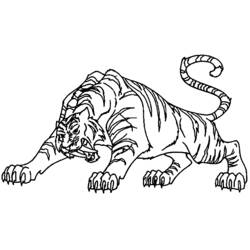 Disegno Tigre accovacciata pronta a saltare da colorare