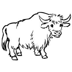 Disegno Toro in piedi con sguardo calmo da colorare