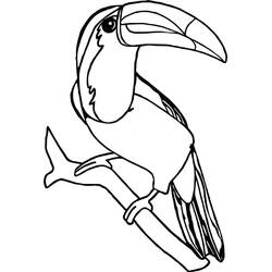 Disegno Tucano appollaiato su un ramo da colorare Disegno Tucano appollaiato su un ramo da colorare