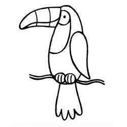 Disegno Tucano appollaiato su un ramo da colorare Disegno Tucano appollaiato su un ramo da colorare