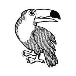 Disegno Tucano appollaiato con becco grande da colorare Disegno Tucano appollaiato con becco grande da colorare