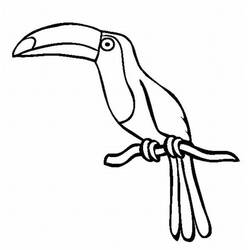 Disegno Tucano appollaiato su un ramo da colorare Disegno Tucano appollaiato su un ramo da colorare
