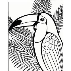 Tucano - Disegni da colorare gratuiti