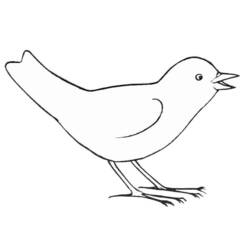 Disegno Uccellino che canta a becco aperto da colorare