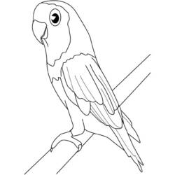 Disegno Uccello appollaiato su un ramo da colorare