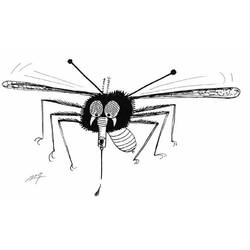 Disegno Zanzara in volo con una goccia sulla proboscide da colorare