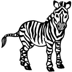 Zebra - Disegni da colorare gratuiti