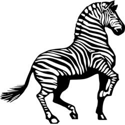 Disegno Zebra che cammina con la testa girata da colorare Disegno Zebra che cammina con la testa girata da colorare