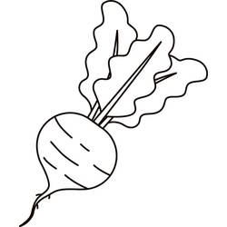 Barbabietola - Disegni da colorare gratuiti