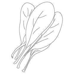 Disegno Spinaci con foglie raggruppate da colorare Disegno Spinaci con foglie raggruppate da colorare