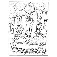 Disegno Cappuccetto Rosso a passeggio nel bosco da colorare