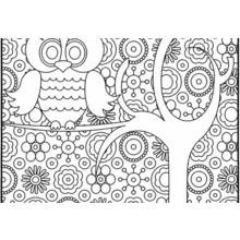 Disegno Gufo appollaiato su un ramo con albero mandala da colorare Disegno Gufo appollaiato su un ramo con albero mandala da colorare