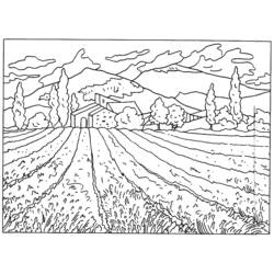 Disegno Casolare provenzale tra campi di lavanda da colorare Disegno Casolare provenzale tra campi di lavanda da colorare