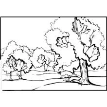 Disegno Fila di alberi in campagna da colorare Disegno Fila di alberi in campagna da colorare
