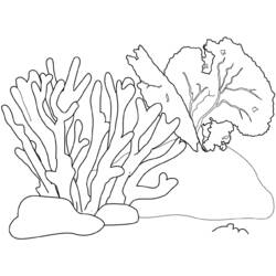 Disegno Rami di corallo sul fondo marino da colorare