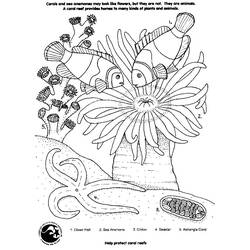 Disegno Barriera corallina con pesci pagliaccio e anemone da colorare