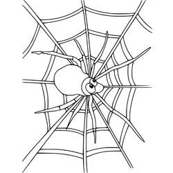 Disegno Ragnatela con un ragno simpatico da colorare