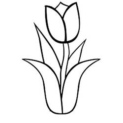 Tulipano - Disegni da colorare gratuiti