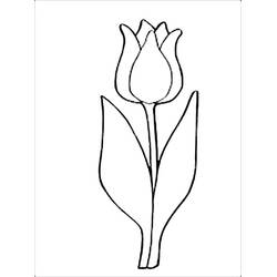 Disegno Tulipano con un solo fiore e due foglie da colorare