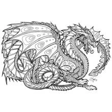 Drago - Disegni da colorare gratuiti Drago - Disegni da colorare gratuiti