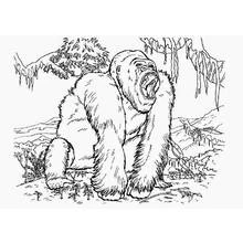 King Kong - Disegni da colorare gratuiti King Kong - Disegni da colorare gratuiti