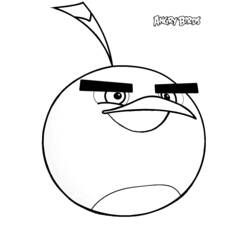 Disegno Angry Birds uccello rotondo con sguardo furbo da colorare